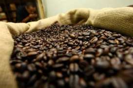 HARGA KOPI ROBUSTA (8 Oktober 2014): Awal Perdagangan Anjlok 1,42%