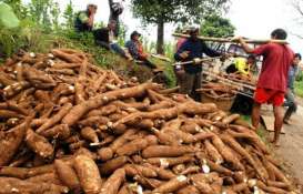 Pengembangan Agroindustri Pedesaan Hadapi Keterbatasan