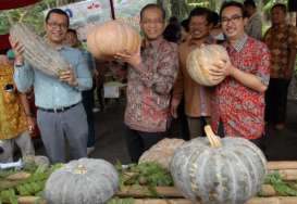 Pelatihan Pemasaran bagi Petani, Ewindo Gelar Supermarket Day di Banten