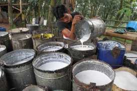 HARGA KARET 27 Oktober 2014: Berbalik Melemah 0,21%