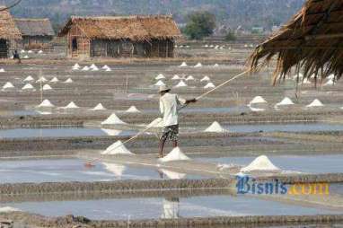 Pacu Produksi Garam, Jateng Tetapkan 5 Kabupaten