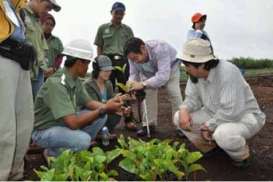 Pemanfaatan Lahan Gambut Riau Bisa Diatasi dengan Ekohidro