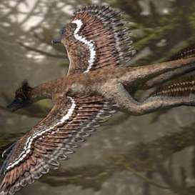 Fosil T-Rex Mini Ditemukan di Korea