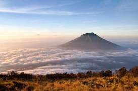 MENDAKI GUNUNG: Termasuk Pilihan Aktivitas Para Lansia Lho