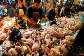 Daging Ayam & Ikan Redam Inflasi Akibat Lonjakan Harga Cabai di Balikpapan