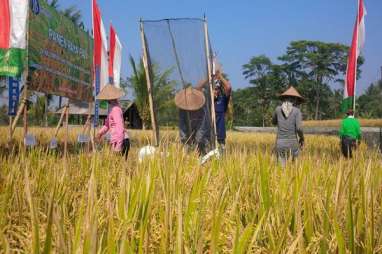 Percepatan Transformasi Petani, Ini Tiga Tantangan Utamanya