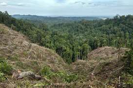 Inpres Moratorium Gambut & Hutan Primer Diusulkan Diperpanjang