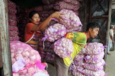 Tidak Ada Itu Penimbunan Bawang Putih, Kata GM Tunas Perkasa