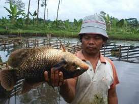 NU Bantu Warga Bantul Kembangkan Budidaya Gurame