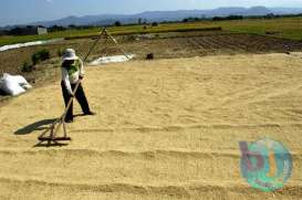 Nilai Tukar Petani Jabar Naik 1,05%