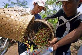 Pabrik Kopi RI di Mesir Diresmikan