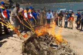 Janji Jadi Nelayan Budidaya, Eks Penangkap Lobster Bakar Pocongan