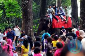 Sambut Lebaran, Kebun Binatang Bandung Berbenah