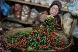 Jelang Lebaran 2017, Cabai Rawit Merah Sentuh Rp51.000 Per Kilogram