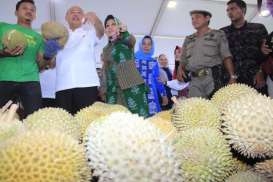 Festival Kuliner Medan 2017, Dengan Rp60.000 Bisa Makan Durian Sepuasnya