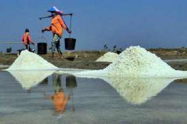 Pelindo II Banten Siap Layani Bongkar Kapal Garam Impor