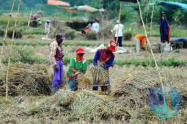 Nilai Tukar Petani di Jabar Naik