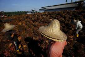 PERKEBUNAN KELAPA SAWIT RAKYAT : Salim Group Siap Dukung Program Peremajaan