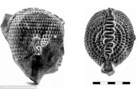 Arkeolog Temukan Patung Kepala Firaun Berusia 4.300 Tahun