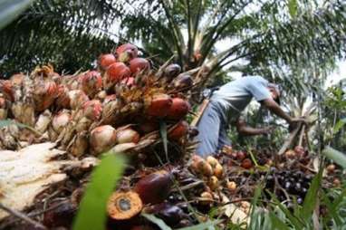 IPOS Forum 2017 Mengangkat Empat Isu Sawit