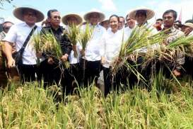 Kartu Tani Permudah Petani Dapat KUR