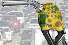 Biodiesel: Konsumsi B20 Belum Maksimal, Penerapan B30 Berpotensi Ditunda