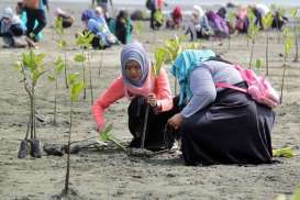 Peringati Sumpah Pemuda, 9.500 Mangrove Ditanam di Pesisir Pantura Kalbar