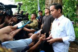 Aksi Saling Memayungi Presiden Jokowi dan Presiden Moon Saat Tanam Pohon Gaharu