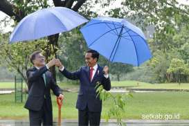 Diplomasi Payung Biru Jokowi dan Moon Jae-in Di Istana Bogor