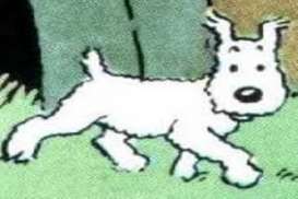 Lelang Gambar Langka Tintin Terjual US$500.000 di Prancis