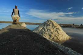 Pacu Produksi Garam Dengan Membuka  Lahan Baru