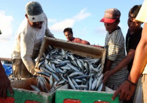 Dua Kelompok Nelayan Situbondo Peroleh Bantuan Dua Truk Boks Ikan