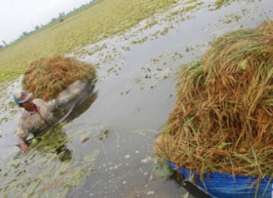 Sejumlah Desa di Pacitan Terendam Banjir