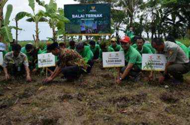 Peternak Ditekan Harga Pakan yang Makin Mahal