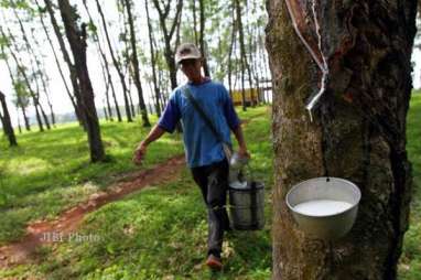 Diawali Kemudahan Perizinan, Simalungun Bakal Serap Pekerja Kebun Besar-Besaran