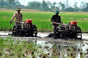 BNI Salurkan 1000 Kartu Tani di Blitar