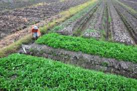 Program Transmigrasi Nasiona Prioritaskan Pembangunan 20 Kota Terpadu