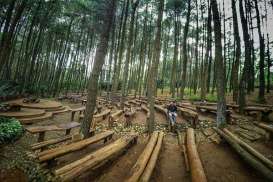 PENGELOLAAN HUTAN : Kubu Raya Bikin Satu Data