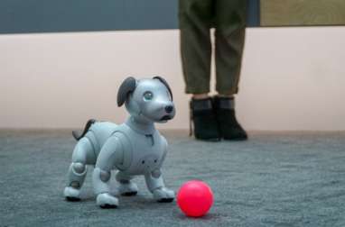 Robot Anjing Aibo Paling Terbaru Mulai Dipasarkan di Jepang