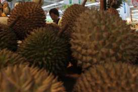 Panen Besar Durian Padang Terasa Hingga Palembang