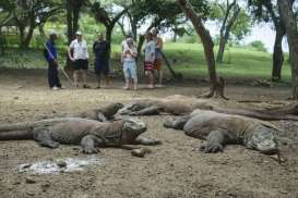 Taman Nasional Komodo Benahi Sarana Sambut Pertemuan IMF