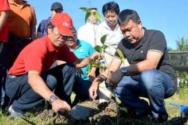 Penghijauan Perkuat Daerah Penyangga Subak Sembung