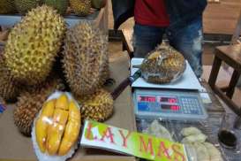 Selain Lezat, Simak Kandungan Vitamin Durian Kuning Kalimantan