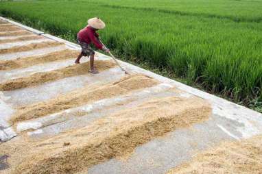 KPPU Dorong Petani Jual Beras Ketimbang Gabah