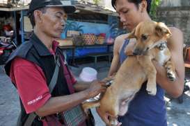 Kendalikan Populasi Anjing, Denpasar Tawarkan Vaksinasi Gratis