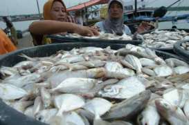 KONSUMSI IKAN di DIY Diakui Rendah Tapi Enggan Disebut Terendah