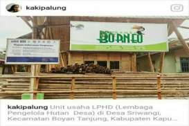 Mengintip Rumah Wisata dari Bambu di Kapuas Hulu