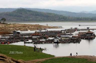 Produksi Benih Ikan di Temanggung Turun Akibat Cuaca