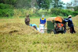 Masa Panen Berlalu, Harga Beras di Kudus Mulai Naik