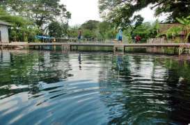 Astaga! Sekitar 40% Mata Air di Indonesia Hilang dalam 10 Tahun Terakhir